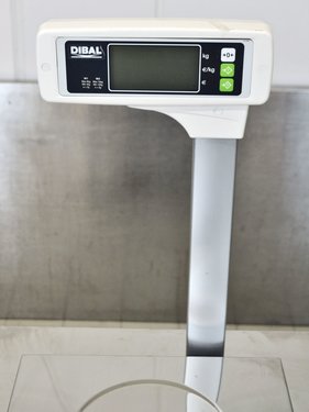 Kassenwaage Dibal DPOS fr Vectron POS Touch 15 Kassensystem