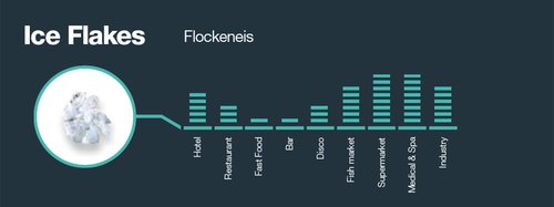 Flockeneiserzeuger mit Eisvorratsspeicher, Eisproduktion 150kg/24h, luftgek�hlt, BTH  738 x 690 x 920 mm